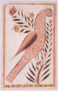 Oiseau - American School